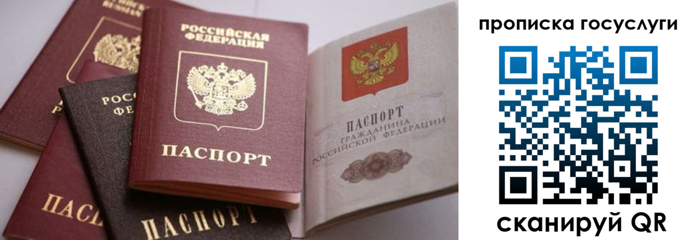 прописка иностранных граждан в Новопавловске